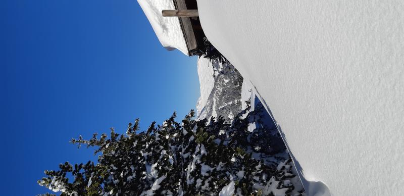 20191226_123532.jpg